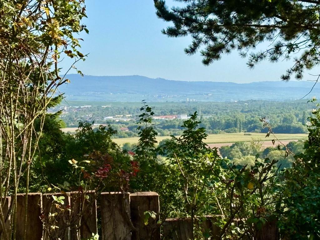 Aussicht von Terrasse