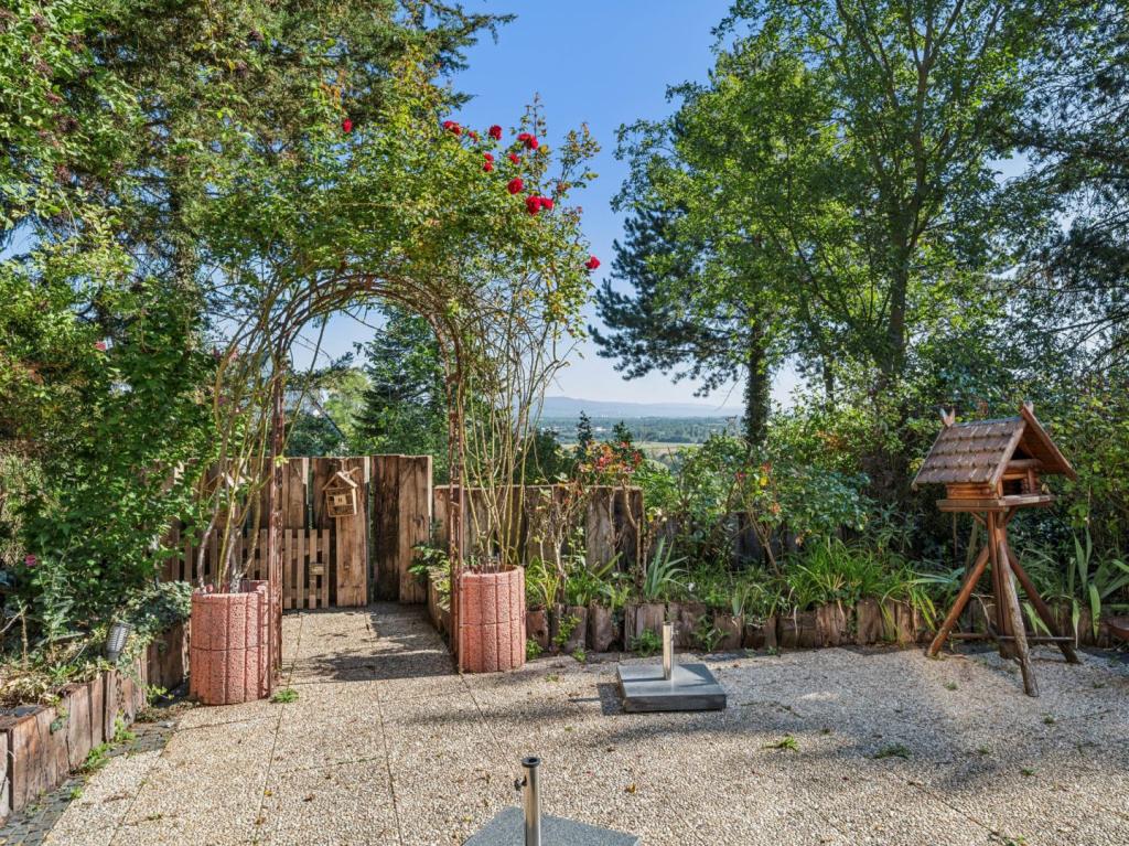 eingewachsener Garten