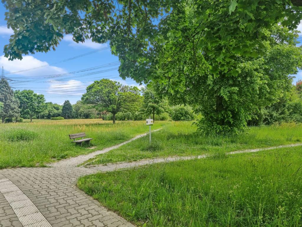Mittagspausenplatz 