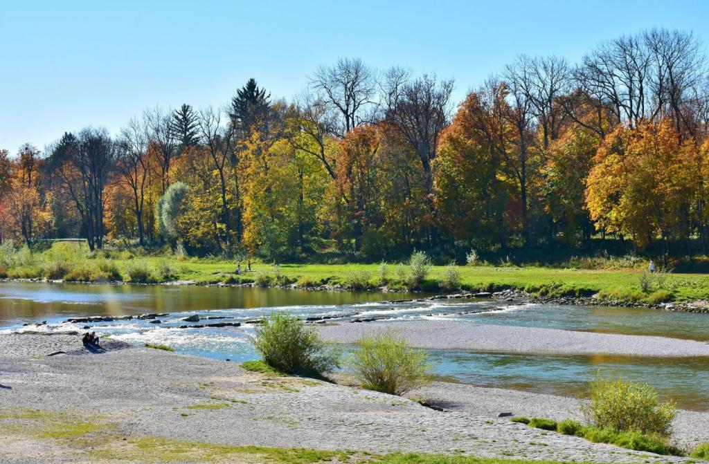 Isarauen