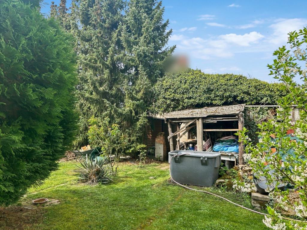 Garten mit Schuppen