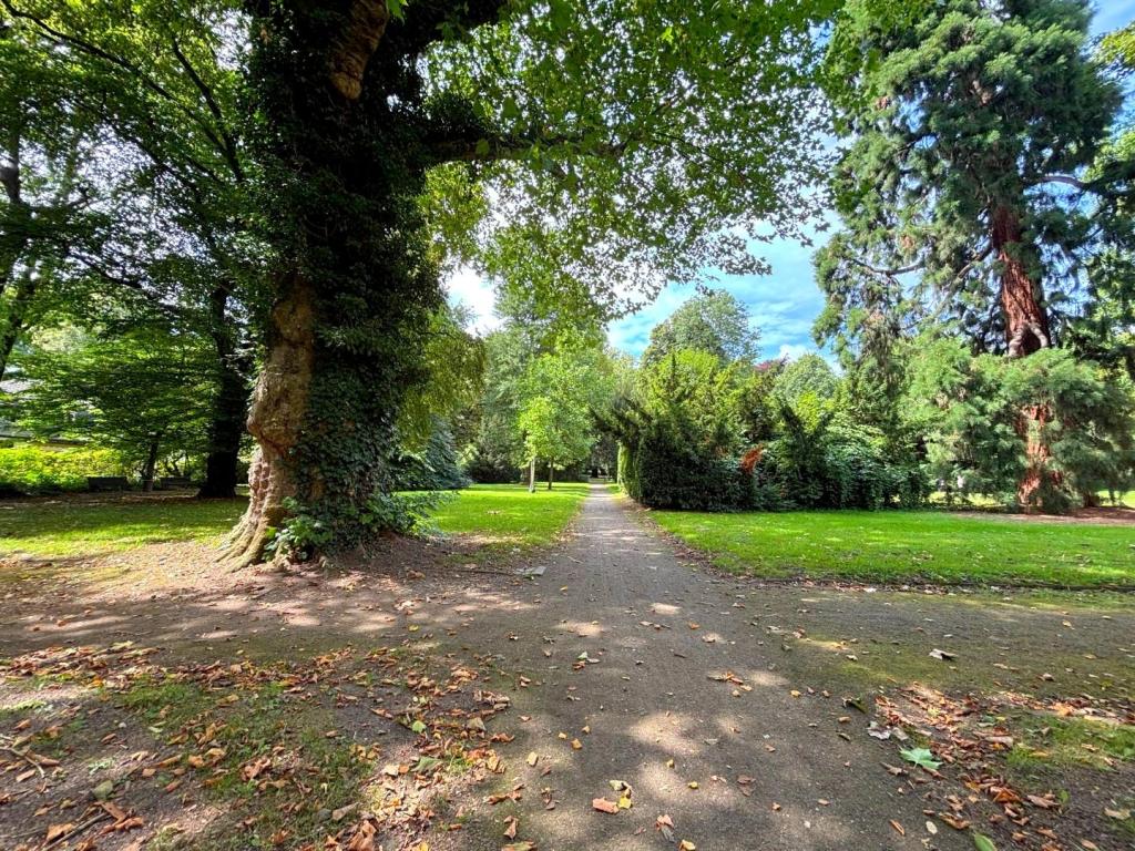 Schlosspark 