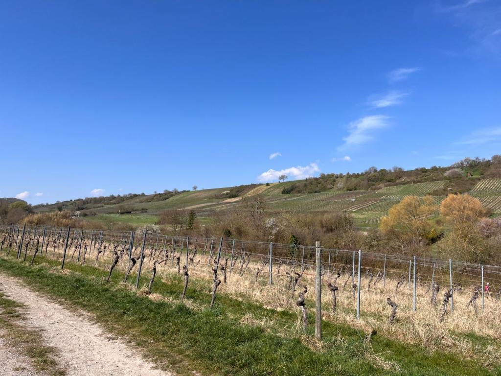 Natur Pur 
