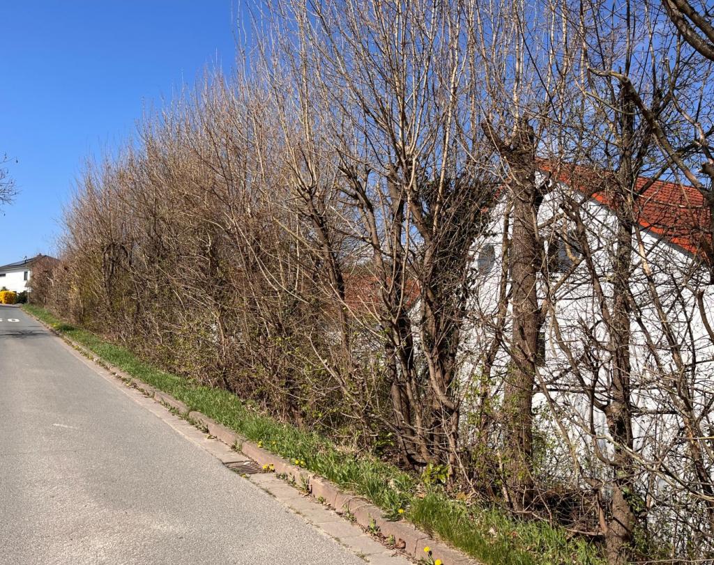 Ruhige Anwohnerstraße 