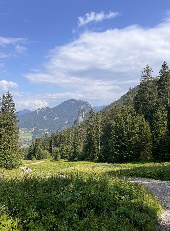 Blick auf Oberammergau