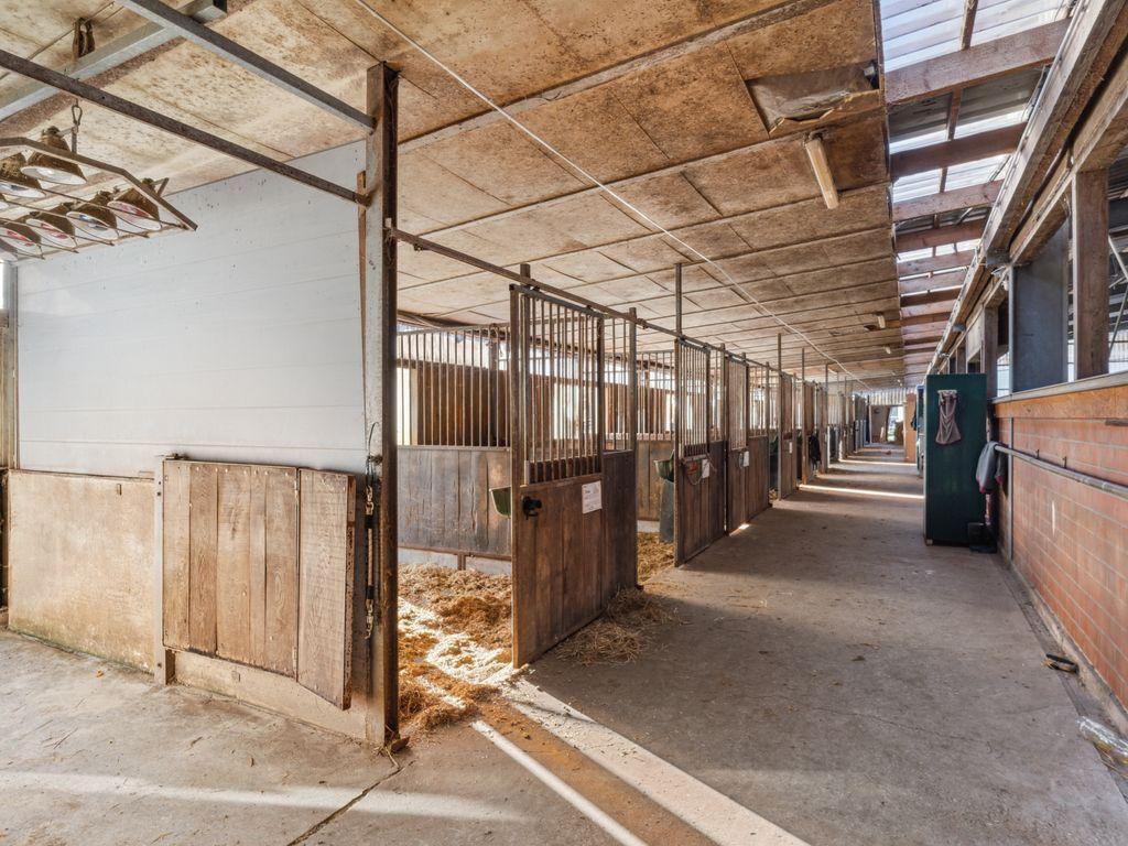 Stallgasse Reithalle