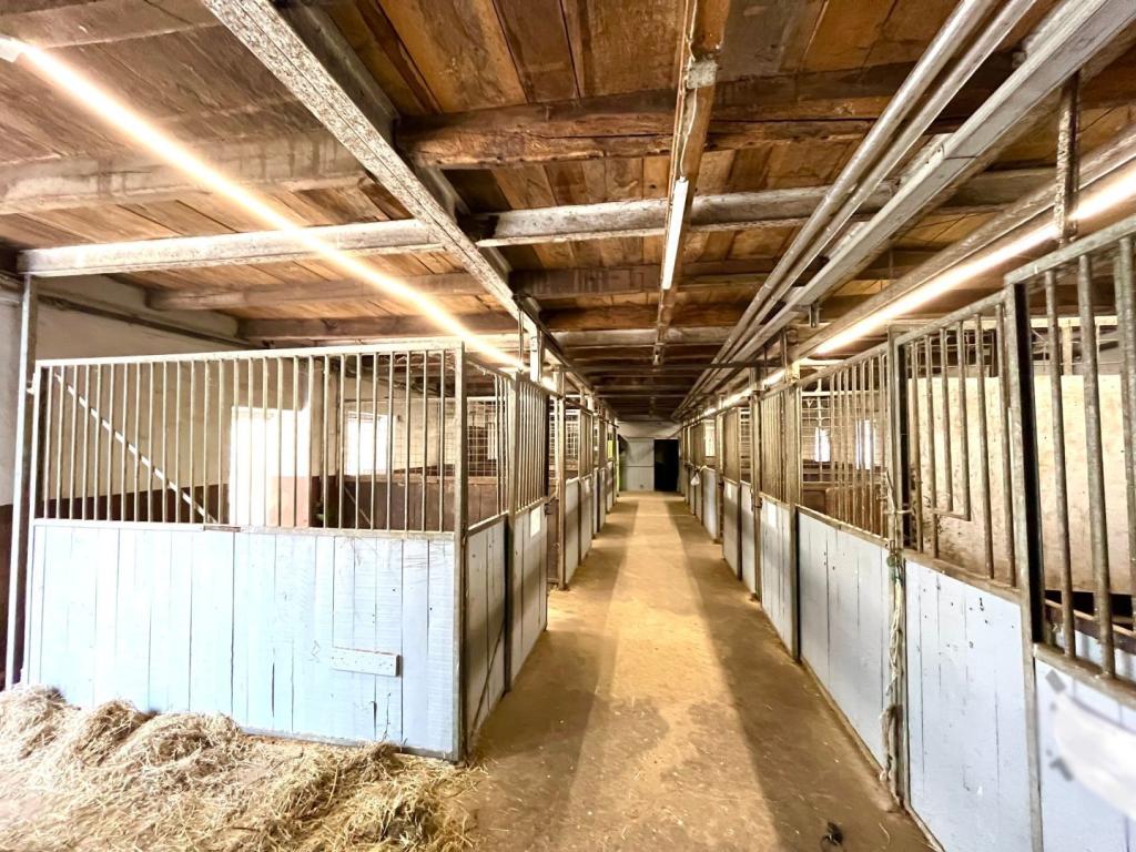 weitere Stallgasse