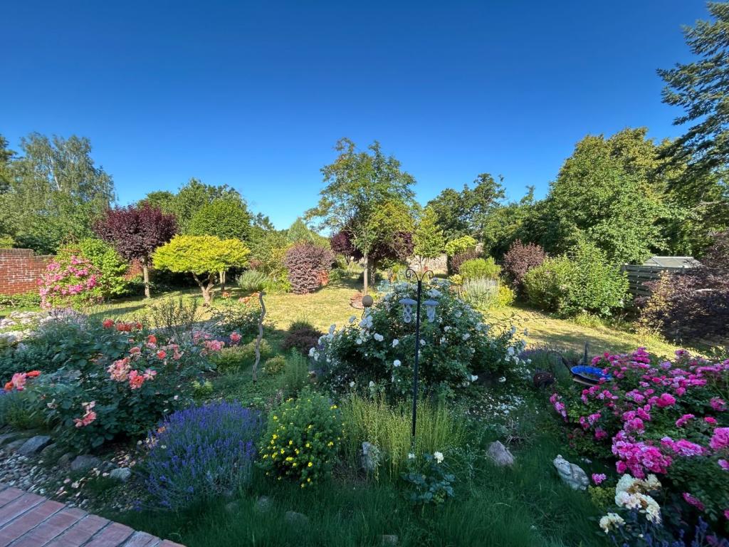 Garten 02