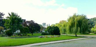 Park am Rhein 