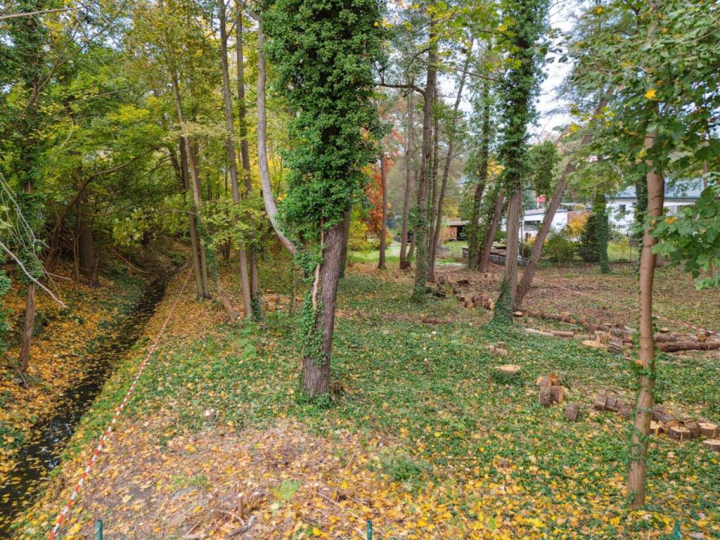Graben neben dem Grundstück