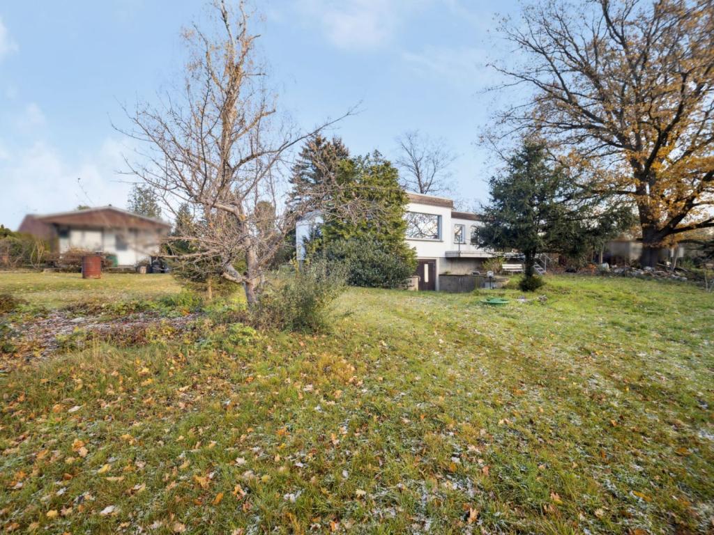 Großer Garten mit Pool_1