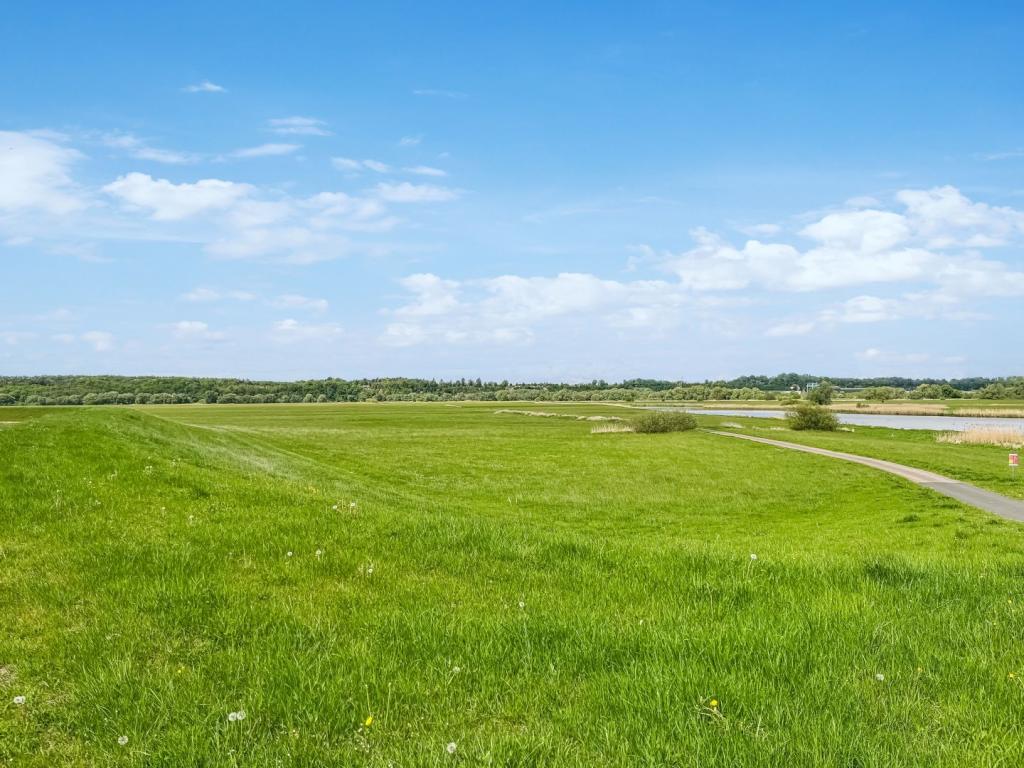 Spaziergang zu den Elbwiesen