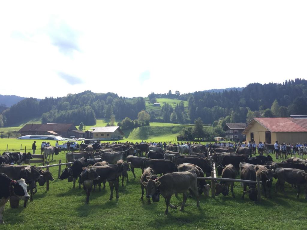 Veranstalltung Herbst