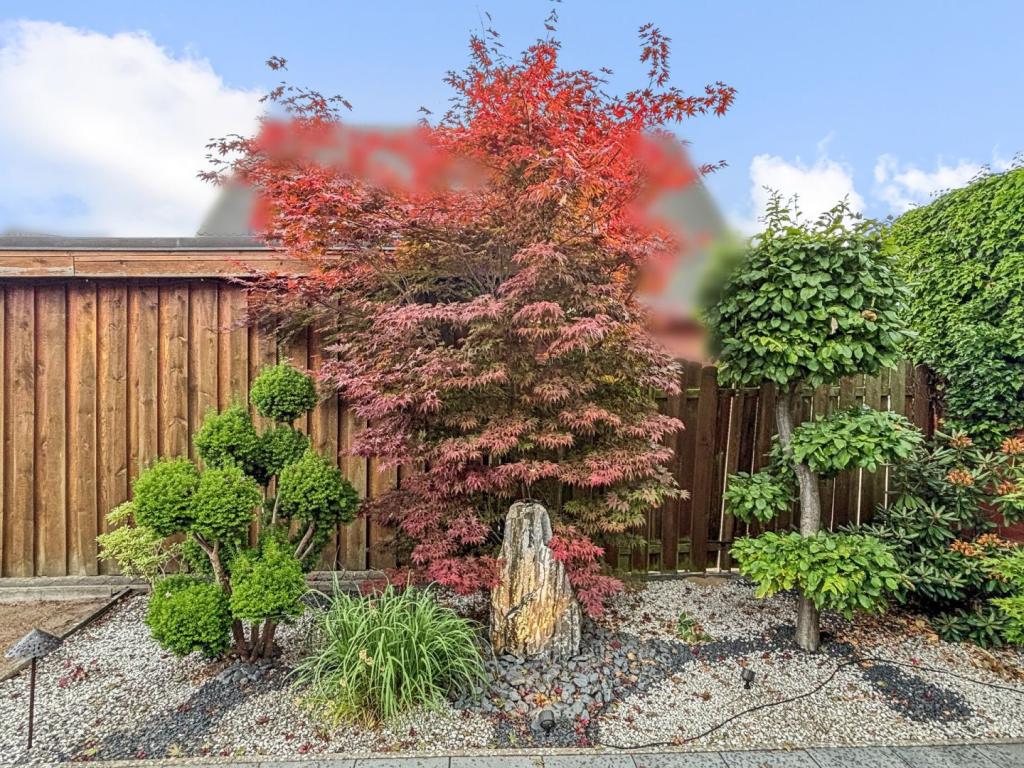 Hochwertige Gartengestaltung