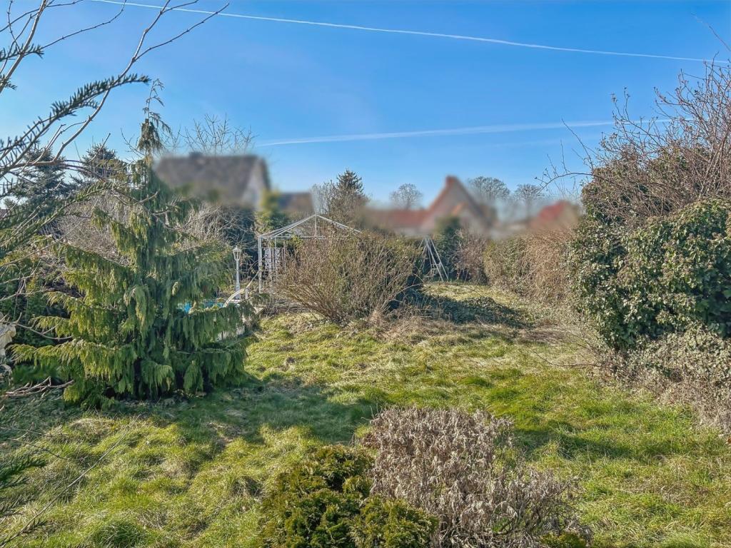 Gartenblick 2