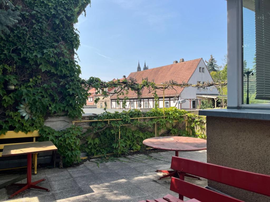 Bild1