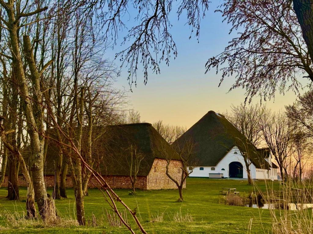 Gulfscheune Abendstimmung