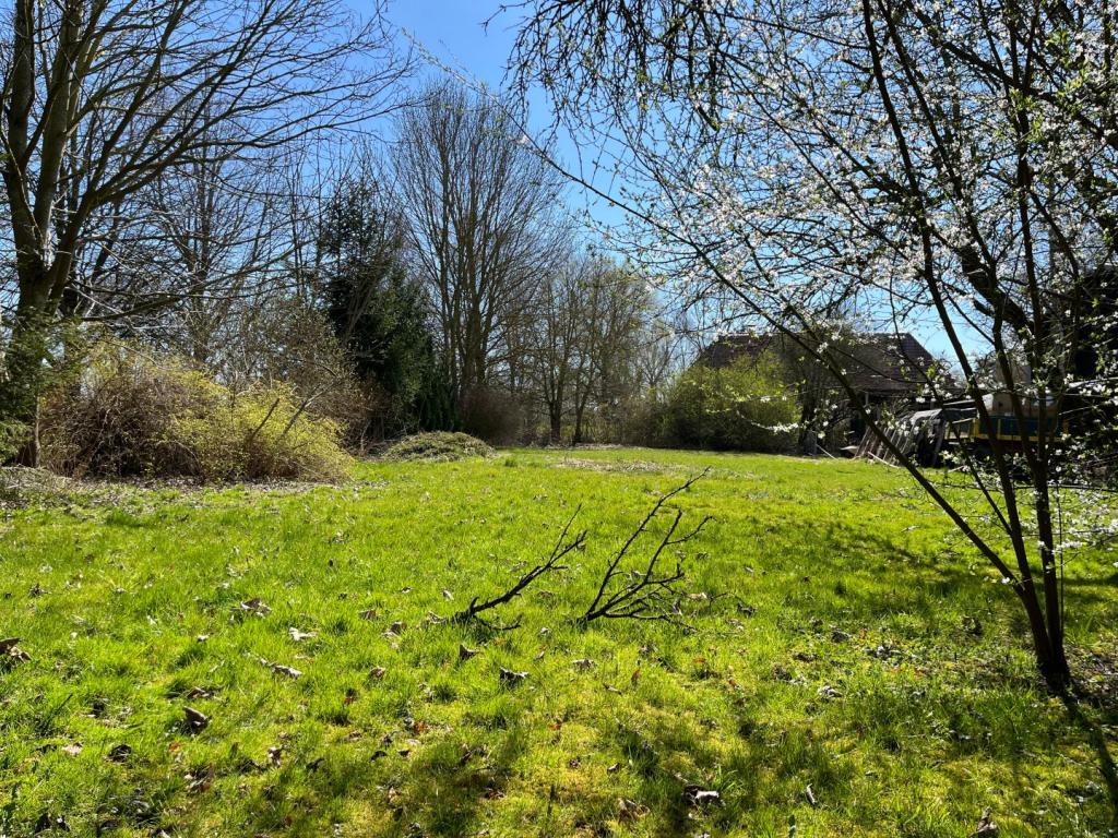 Blick auf das Grundstück