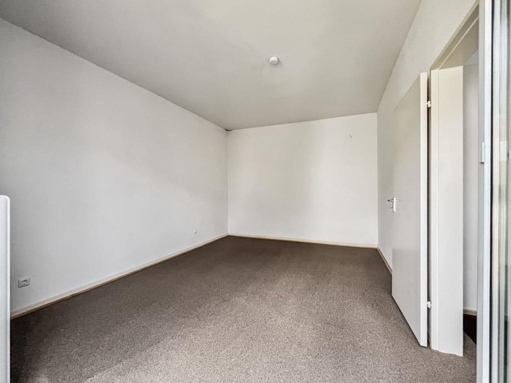 Zimmer3