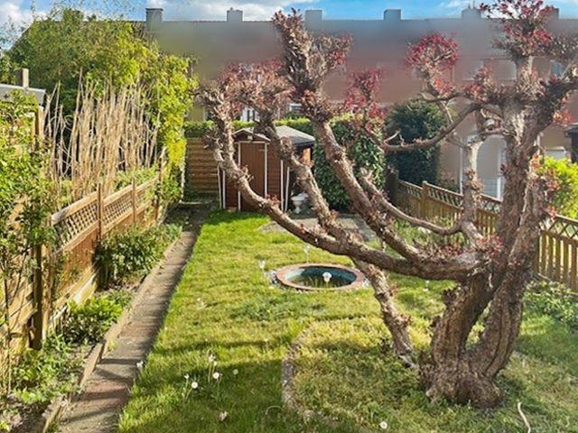 Ansicht Garten