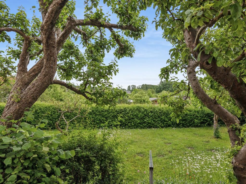 Blick auf die Wallgärten
