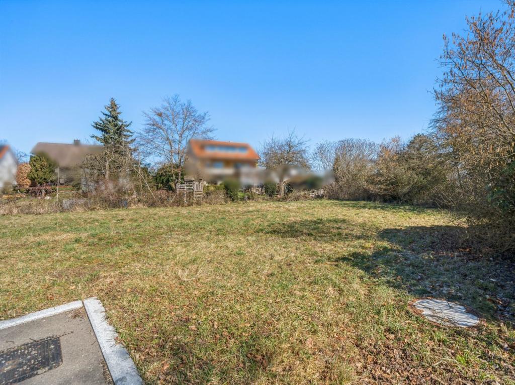 Eindrücke Grundstück III