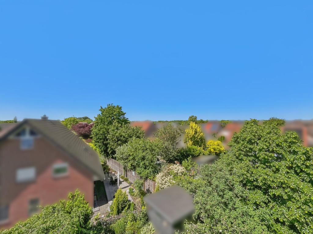 Ausblick 1