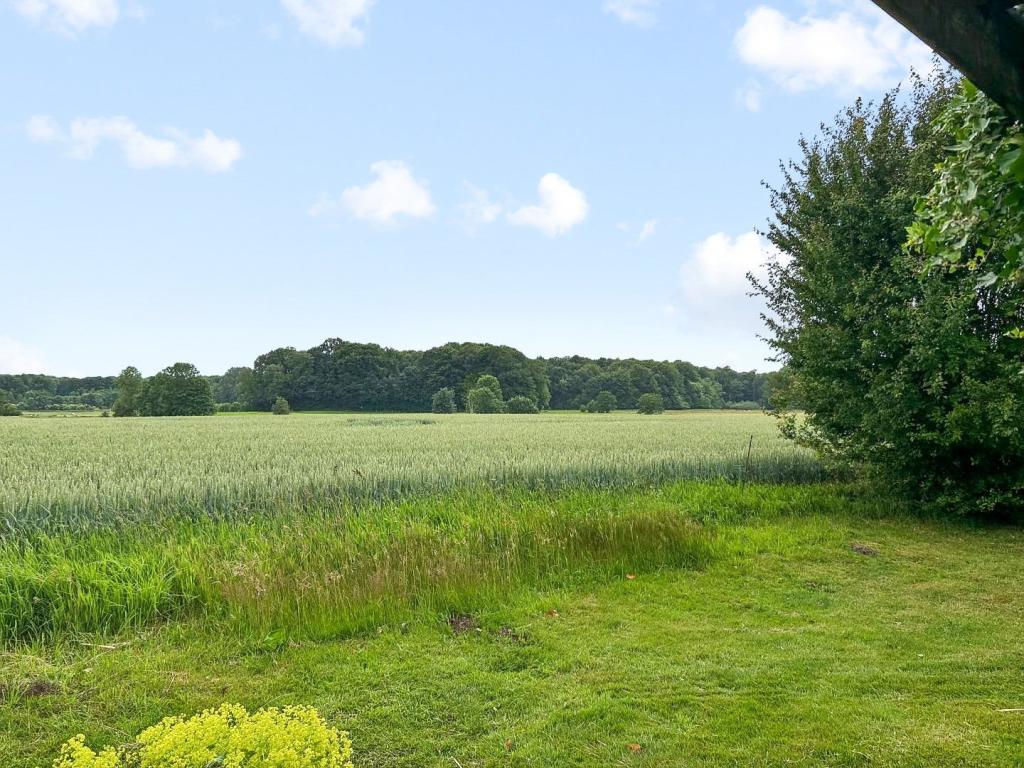 Ausblick Garten