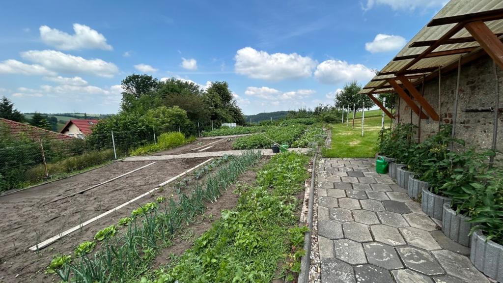 Gemüsegarten