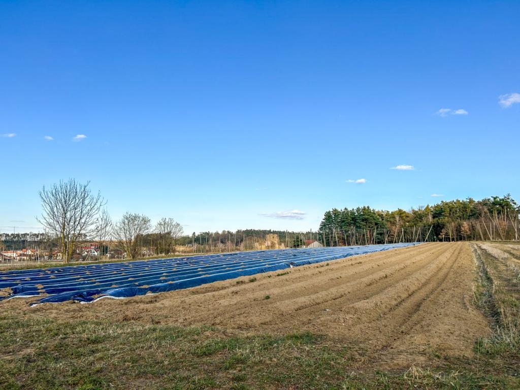 Landwirtschaftiches Grundstück