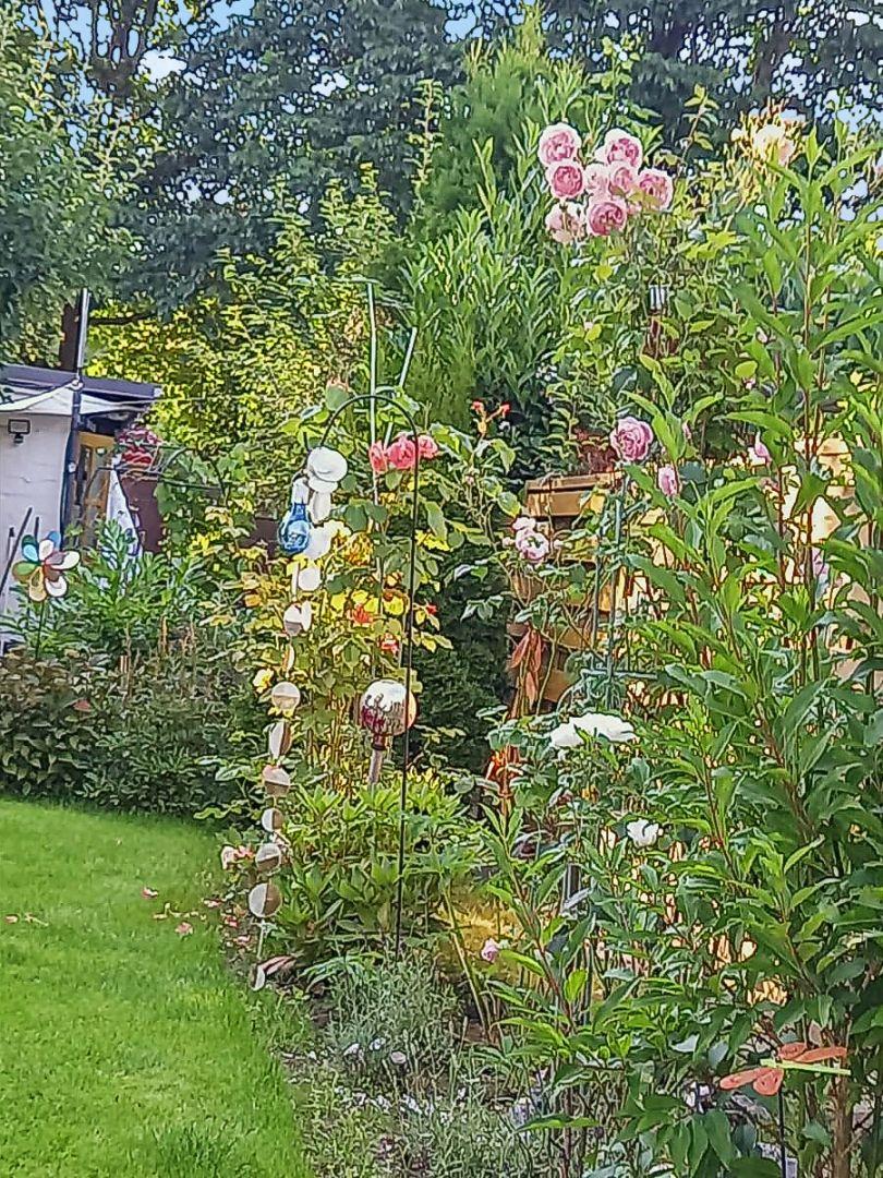 Blühender Garten Bild 2