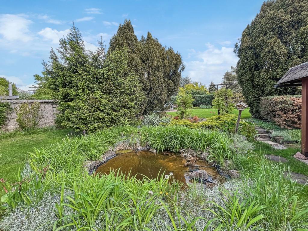 Garten_1