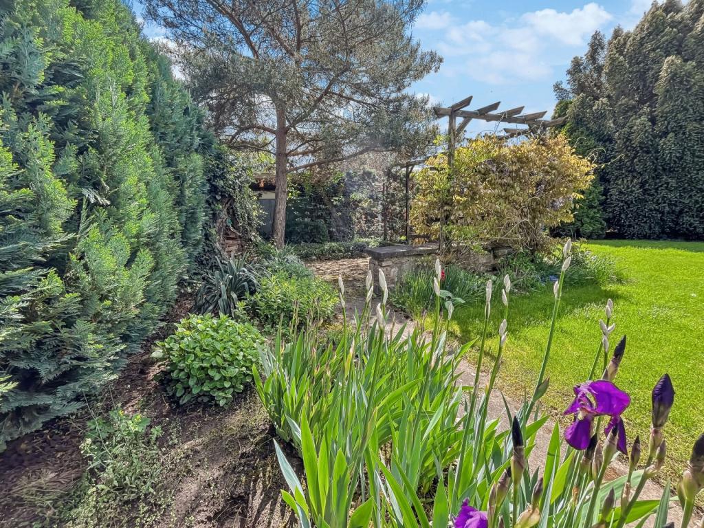 Garten_2
