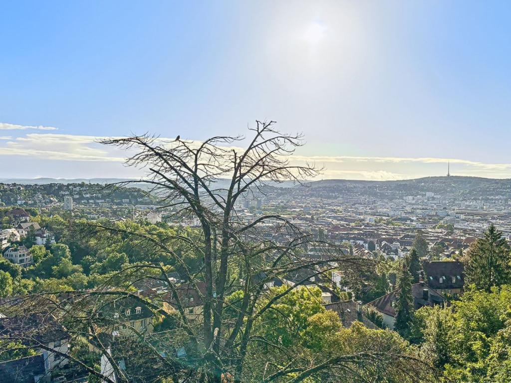 Aussicht 2