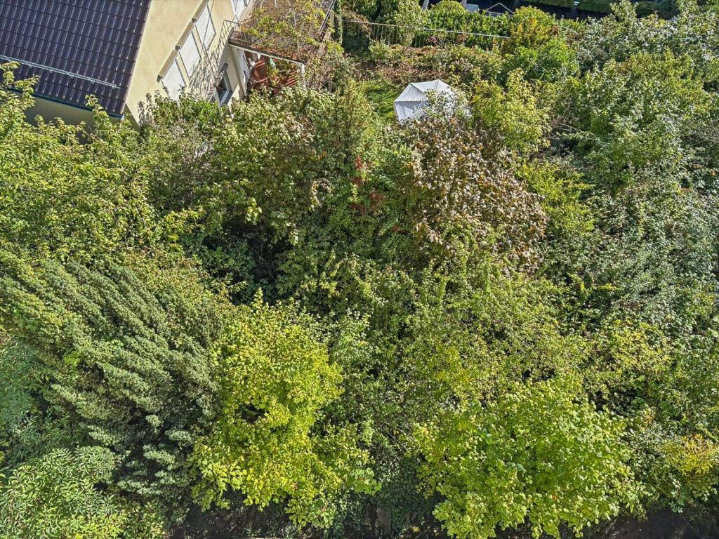 Garten Ansicht 2