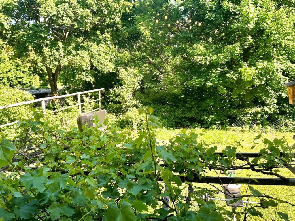 Ausblick Wohnzimmer
