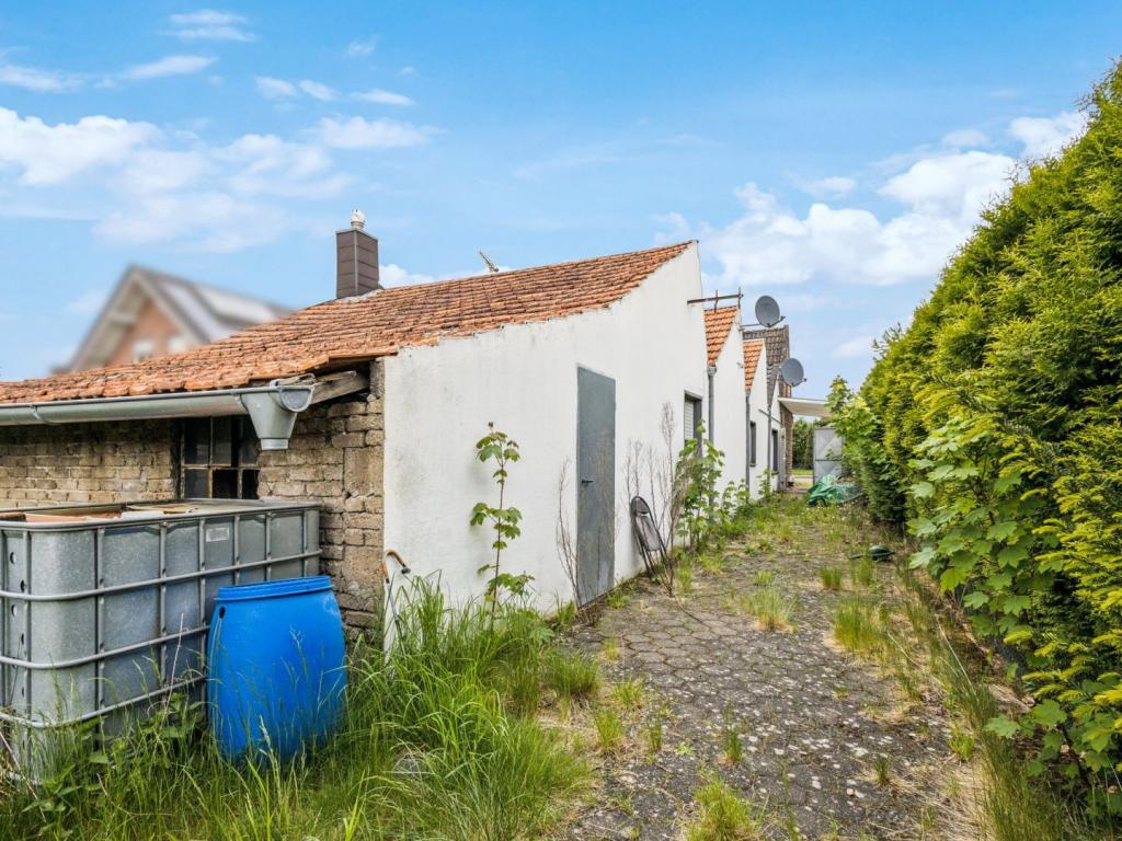 Blick in den Garten 1