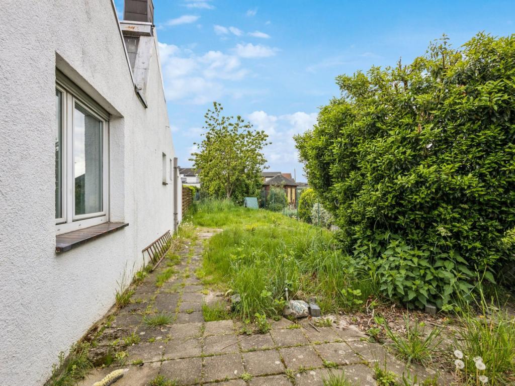 Blick in den Garten 2