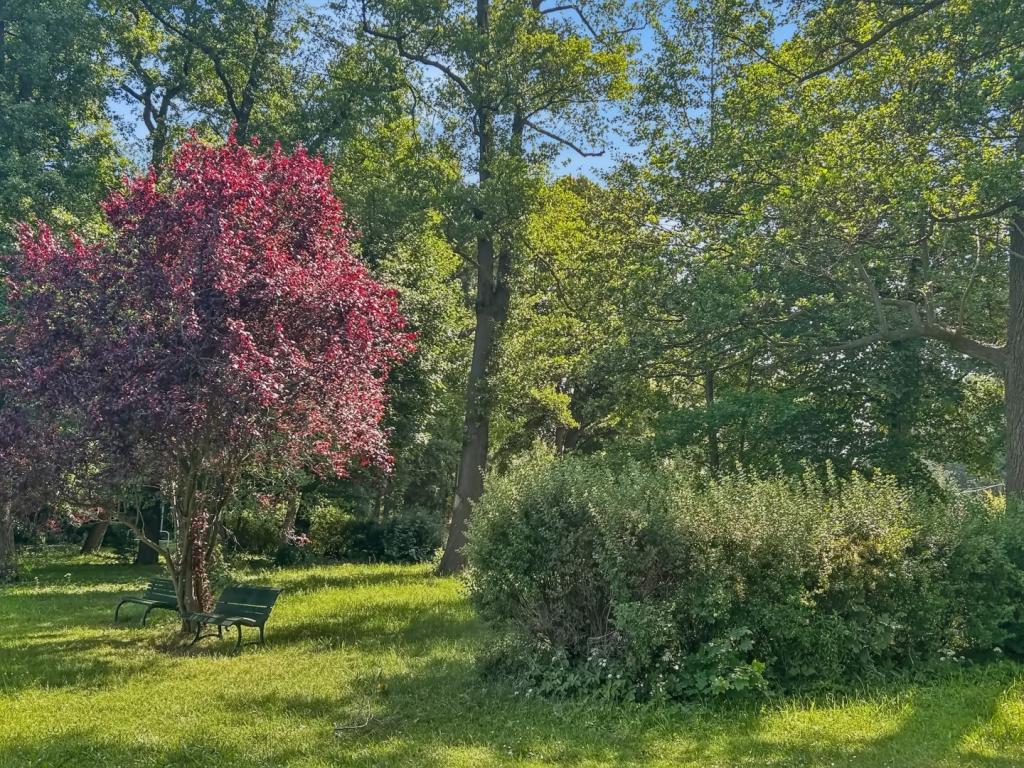 Park am See