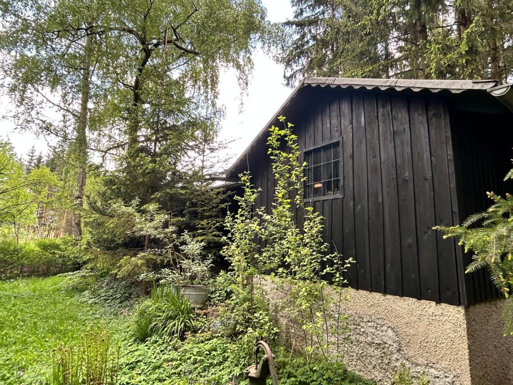 Entspannungswaldgrundstück