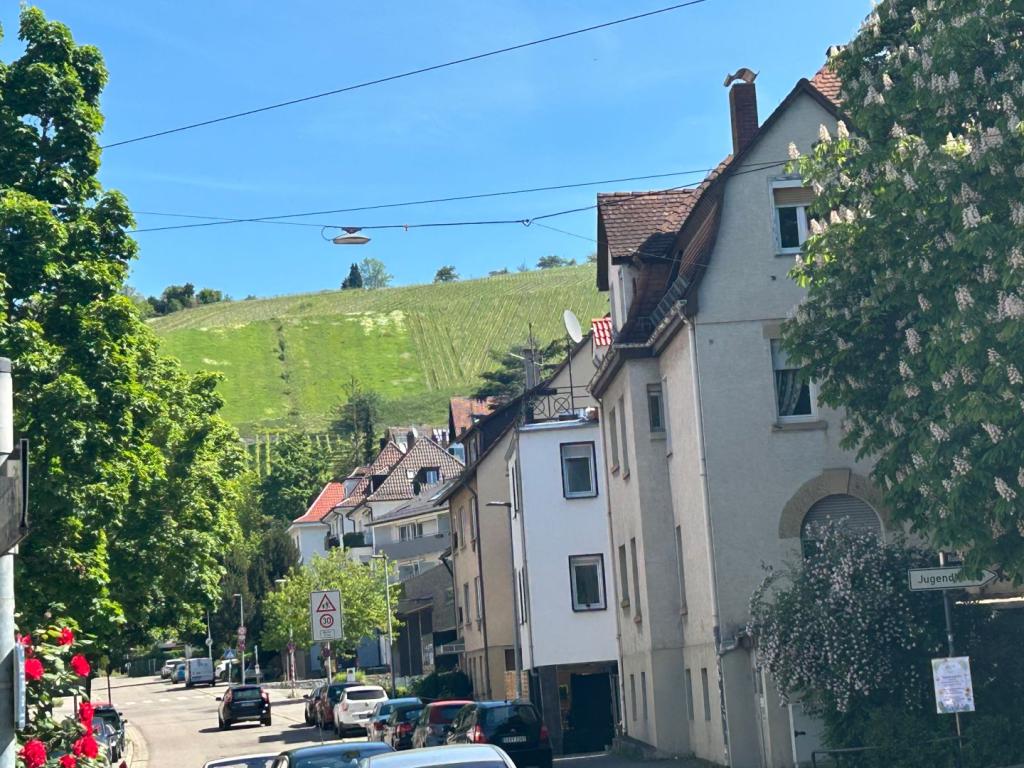 Schöne Weinberge 