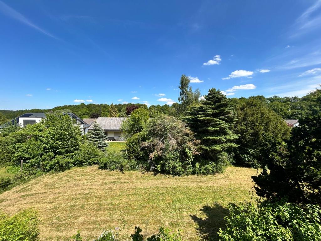 Blick vom OG in den Garten 