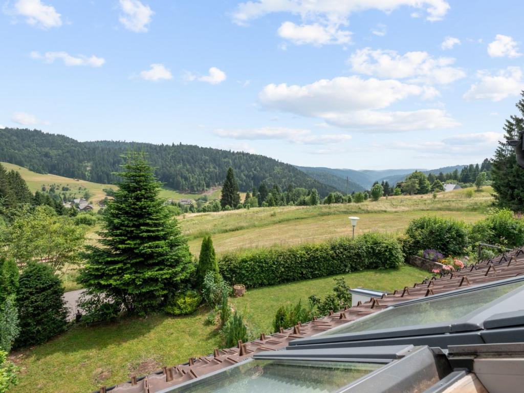 Ausblick