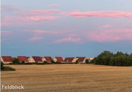 Feldblick