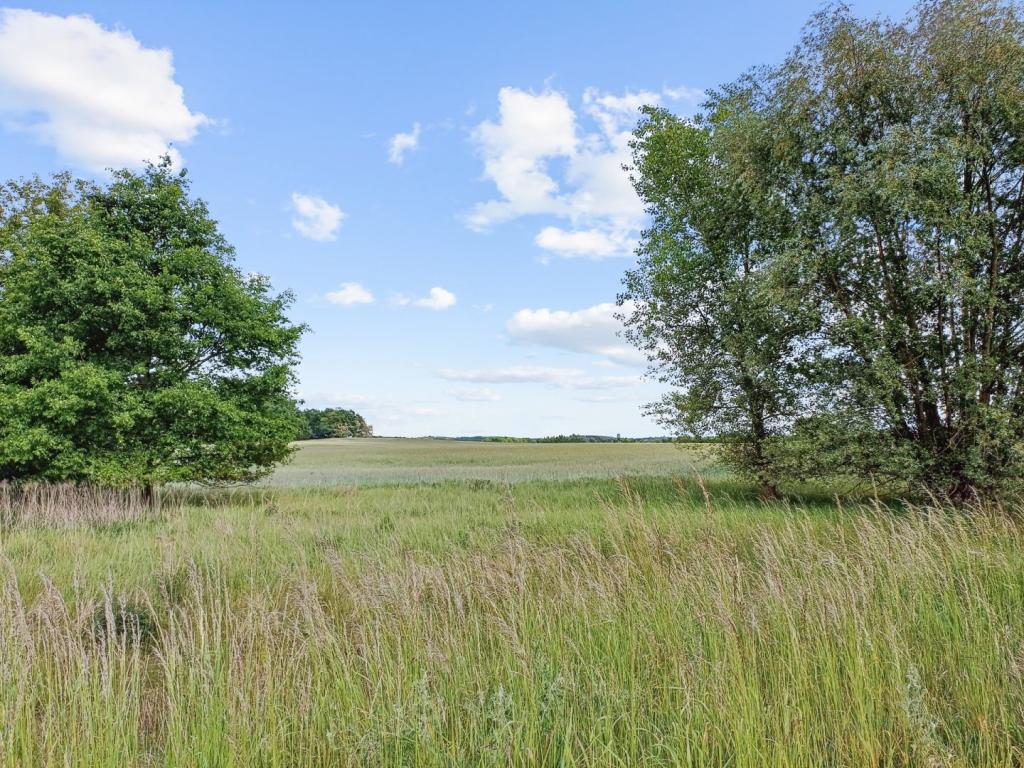 idyllische Umgebung