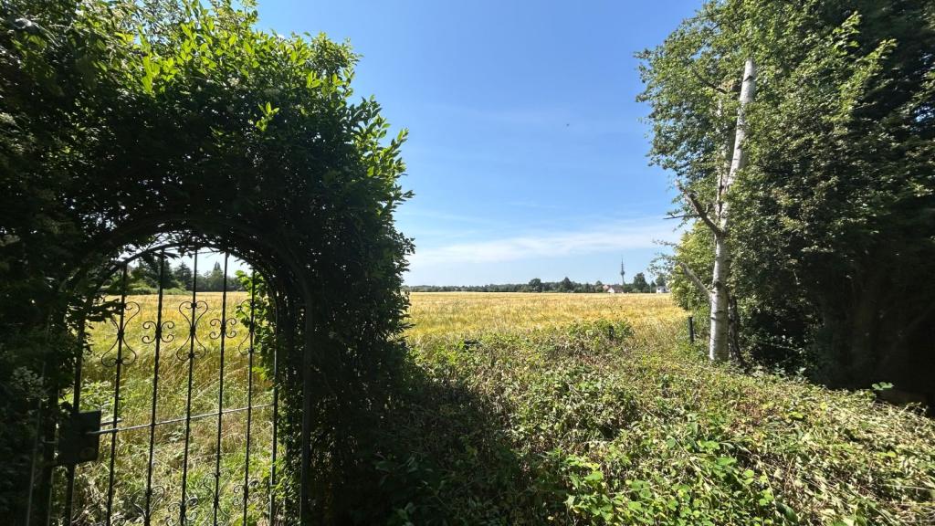 Blick aus dem Garten