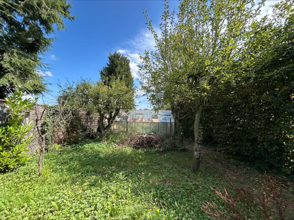 Garten Ansicht 1