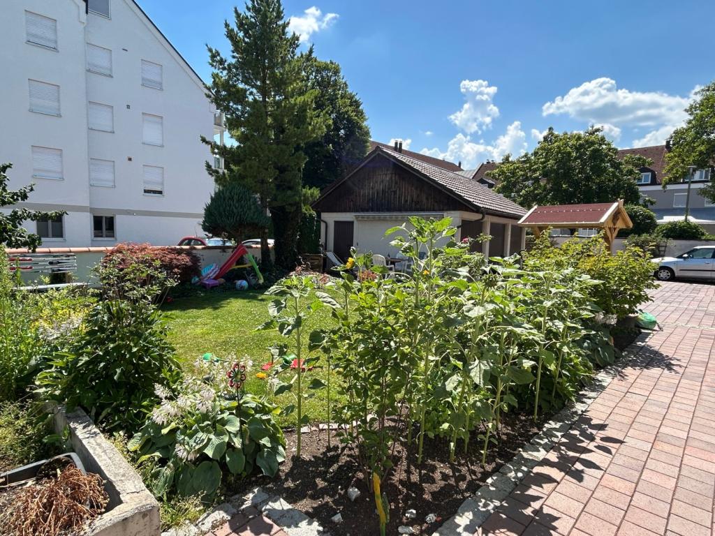 Gemeinschaftsgarten - 2