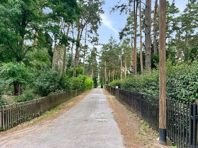 Waldweg