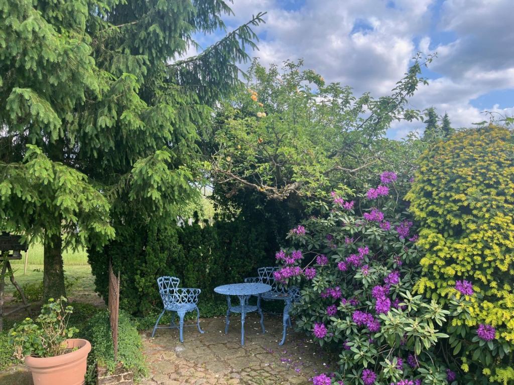 Blick vom Balkon Gartenteil_2